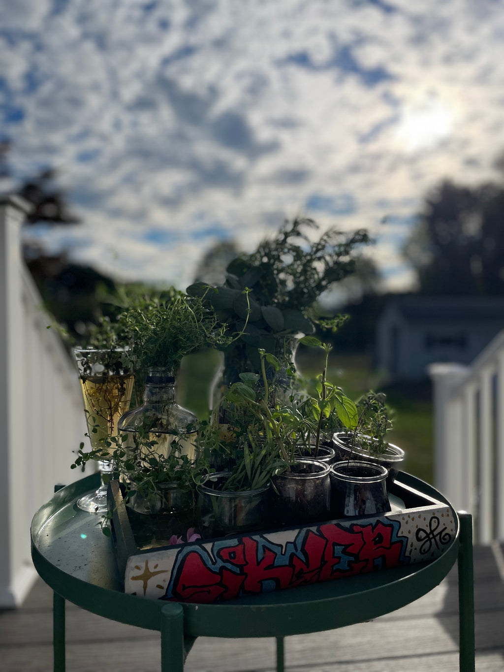 Homegrown Herbs in Upcycled Glass Vases - Ready-to-Root Living Plants