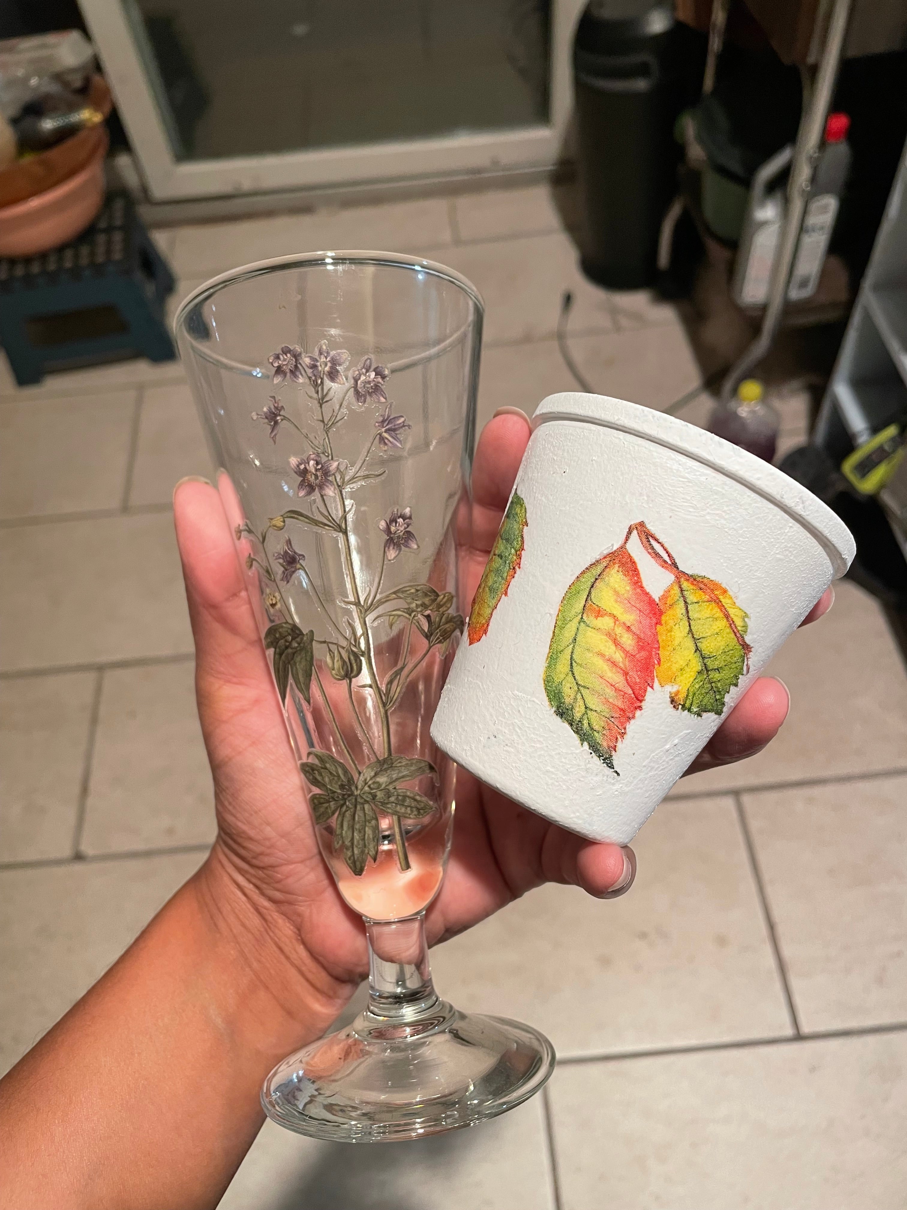 Homegrown Herbs in Upcycled Glass Vases - Ready-to-Root Living Plants