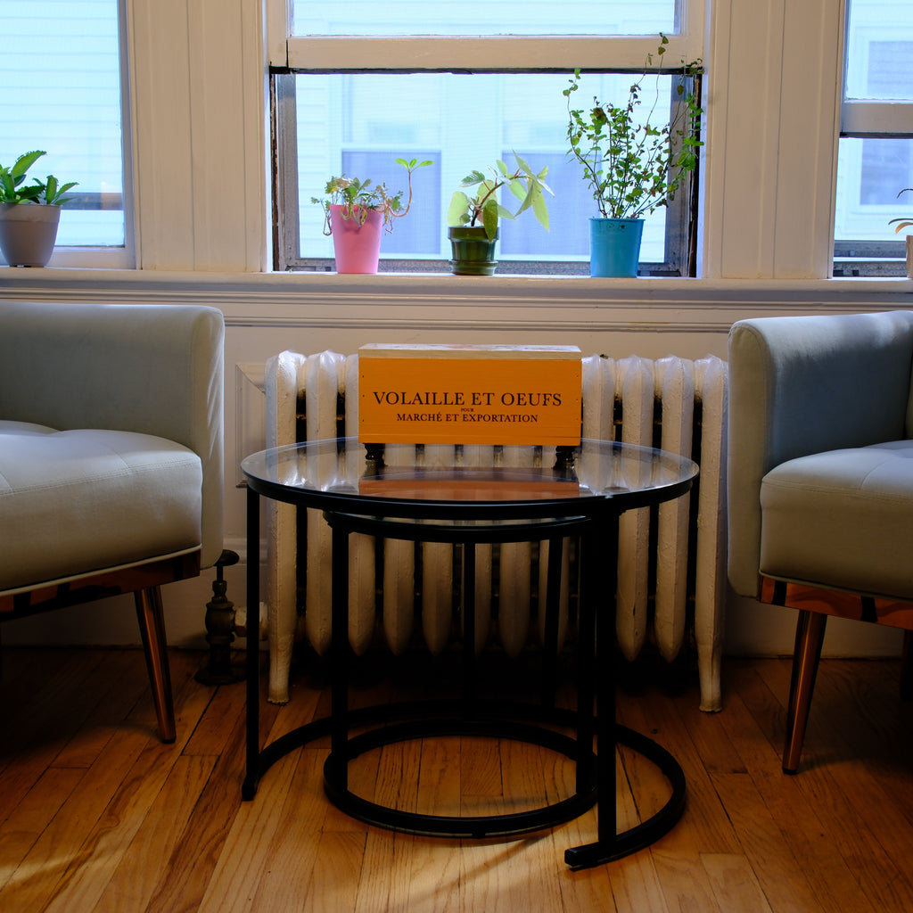 French Vintage 'Volaille et Oeufs' Decorative Storage Box with Botanical Design